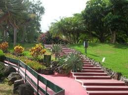 Diseño del jardín